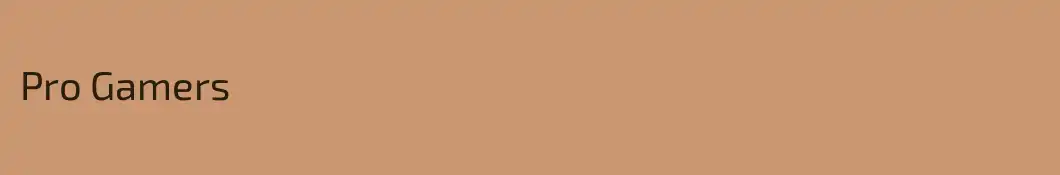 Pro Gamers